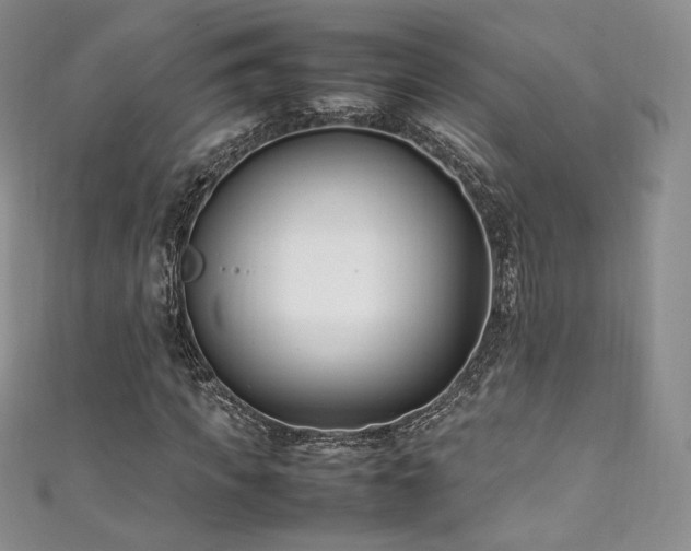 X0000111850917200907231425