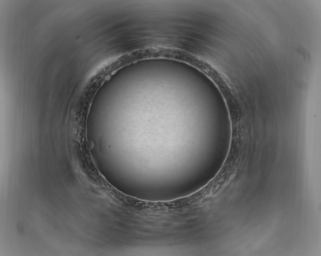 X0000111850919200907231425
