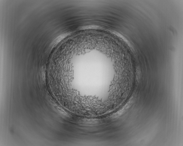 X0000111850921200907231425
