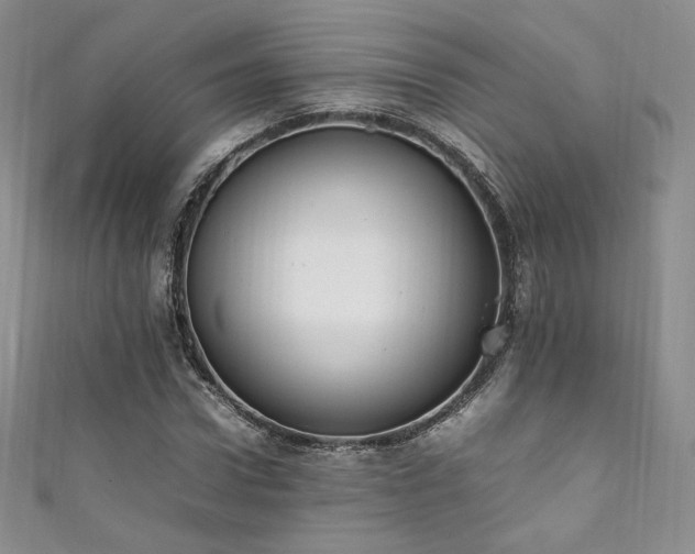 X0000111850922200907231425