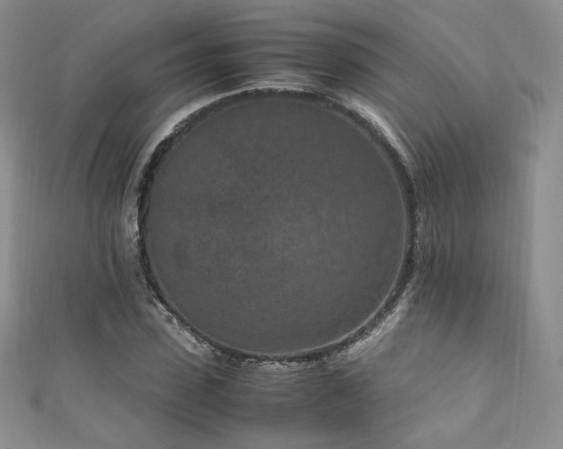 X0000111850923200907231425