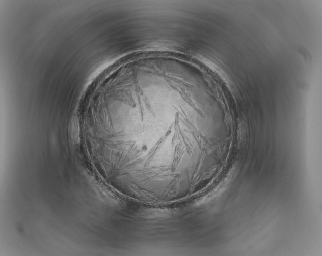 X0000111850925200907231425