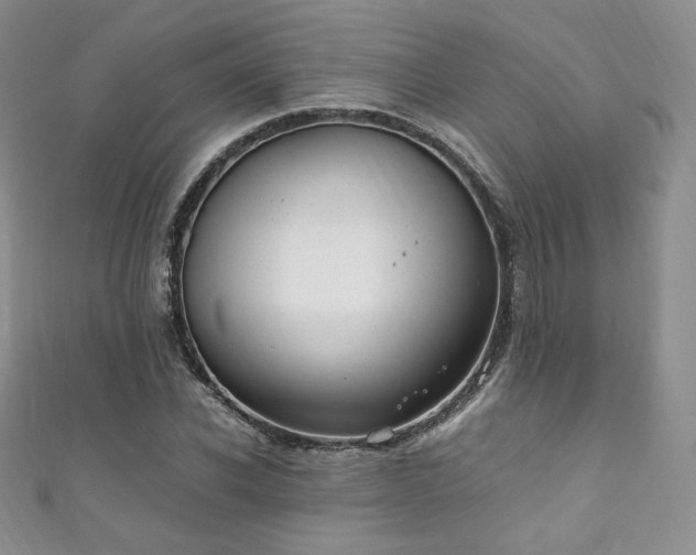 X0000111850926200907231425