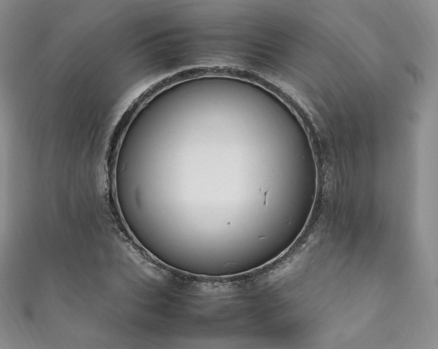 X0000111850927200907231425