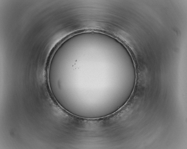 X0000111850928200907231425