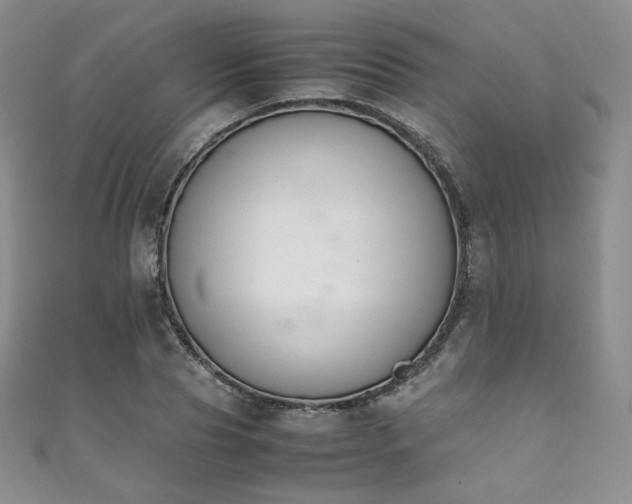 X0000111850929200907231425