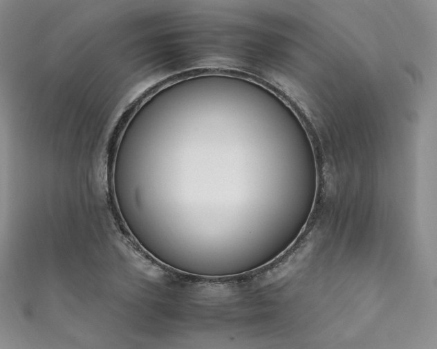 X0000111850931200907231425