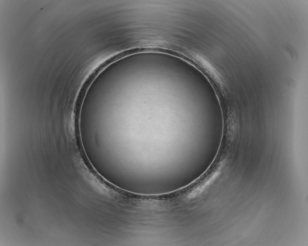 X0000111850932200907231425