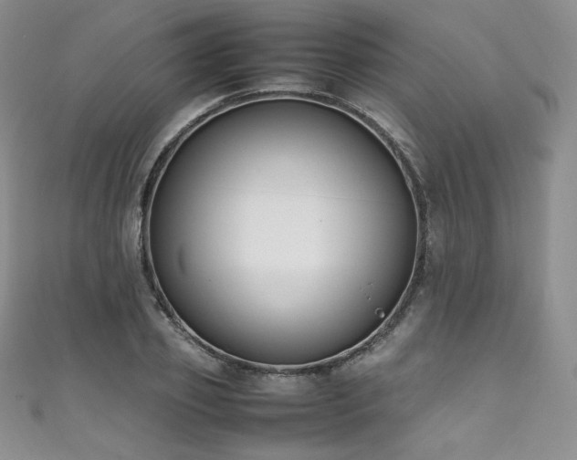 X0000111850933200907231425