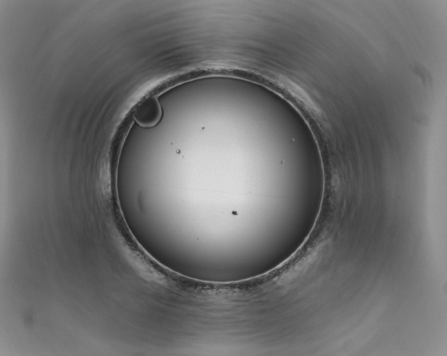 X0000111850934200907231425