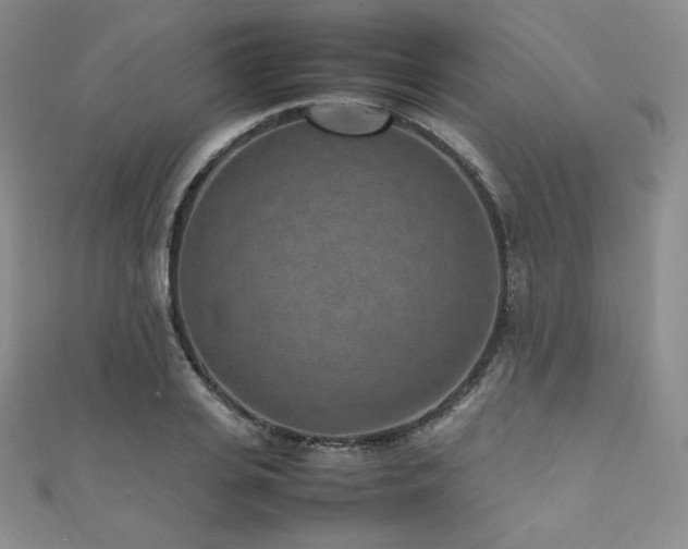 X0000111850935200907231425