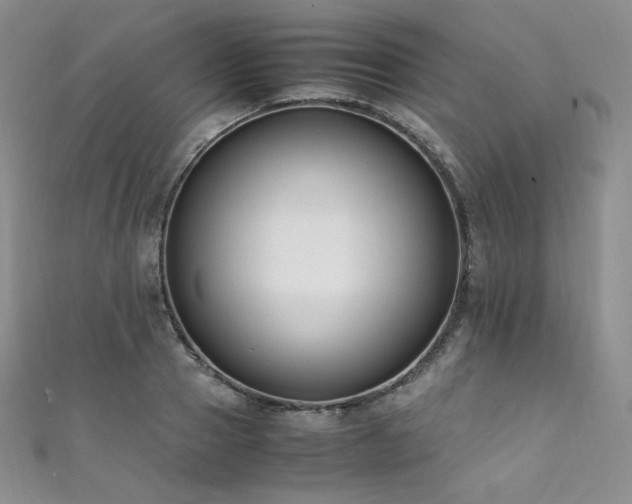 X0000111850937200907231425