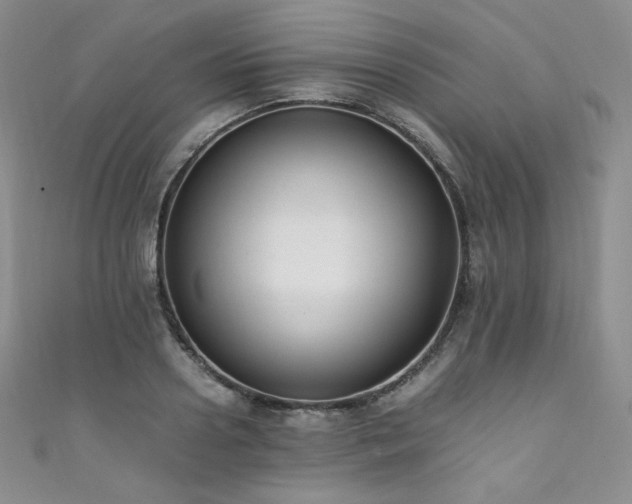 X0000111850938200907231425