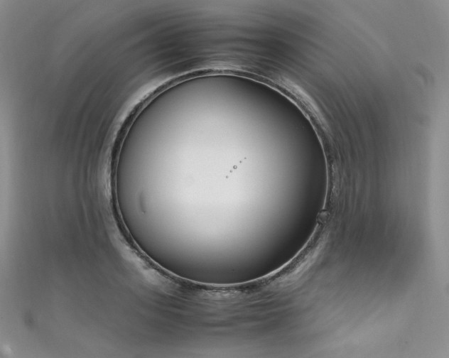 X0000111850939200907231426