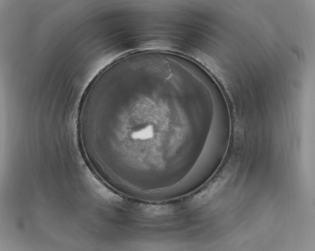 X0000111850941200907231426