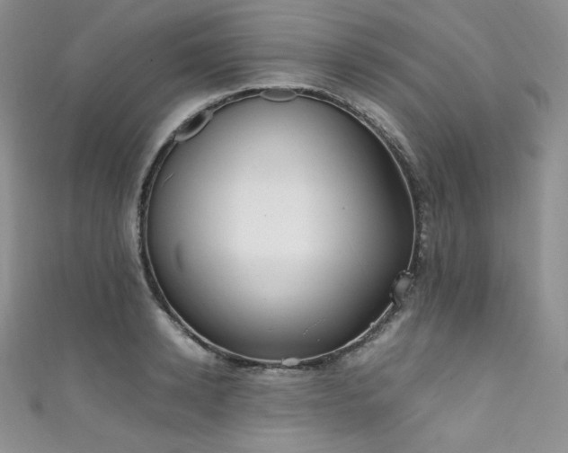 X0000111850942200907231426