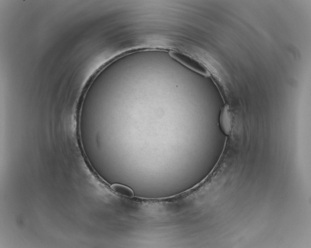 X0000111850944200907231426