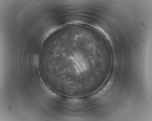 X0000111850945200907231426