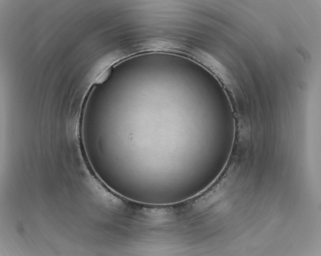 X0000111850946200907231426