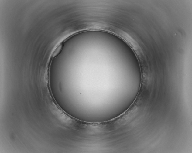 X0000111850948200907231426