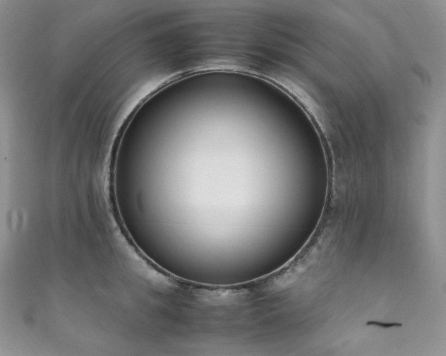 X0000111850949200907231426
