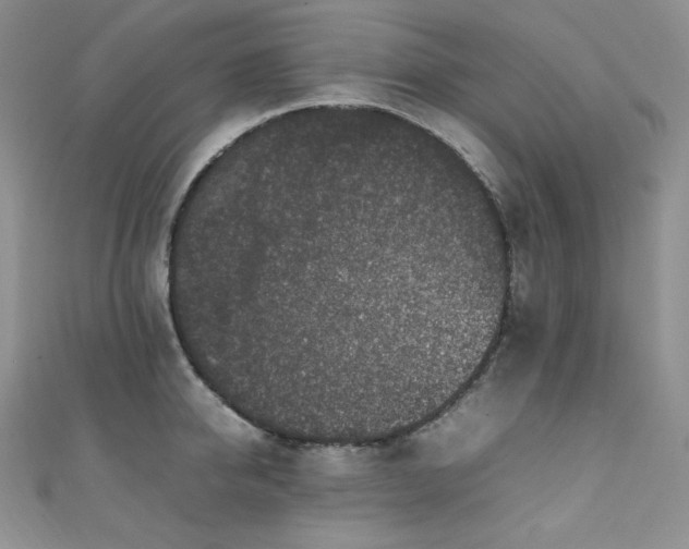 X0000111850950200907231426