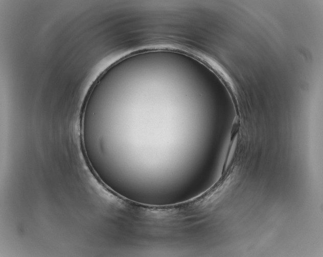 X0000111850951200907231426