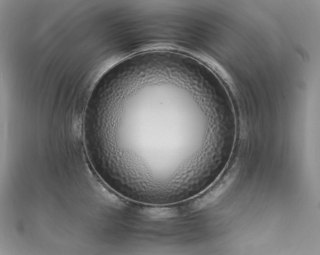 X0000111850953200907231426