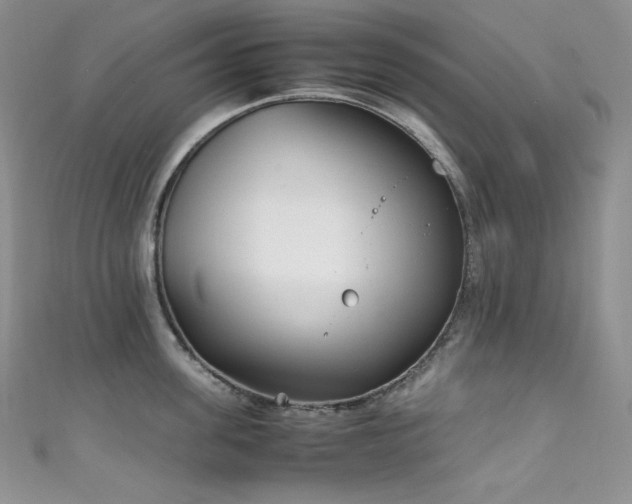 X0000111850955200907231426