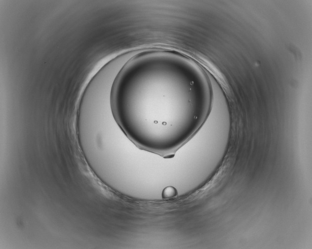 X0000111850956200907231426
