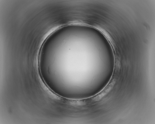 X0000111850957200907231426