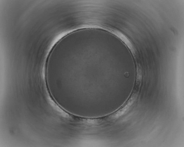 X0000111850958200907231426