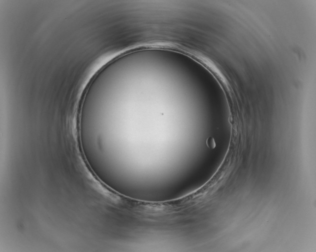X0000111850959200907231426