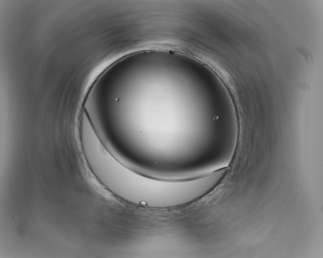 X0000111850960200907231426