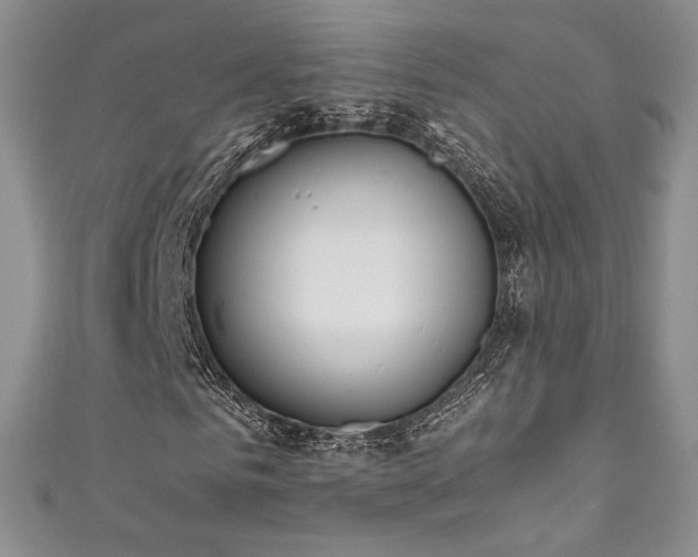 X0000111850961200907231425