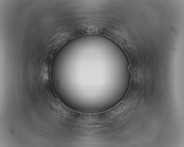 X0000111850962200907231425