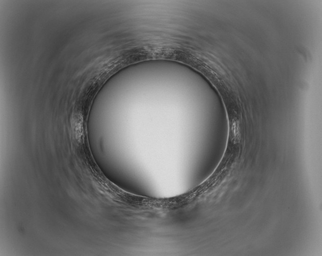 X0000111850963200907231425
