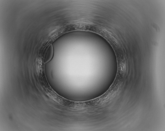 X0000111850964200907231425