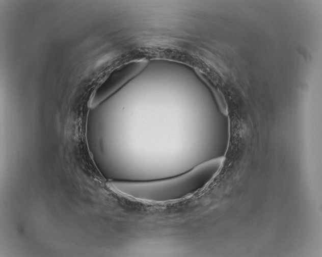 X0000111850965200907231425