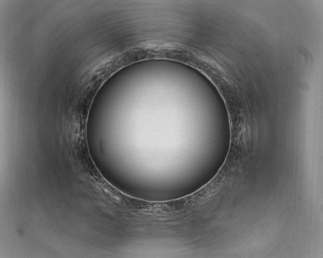 X0000111850966200907231425