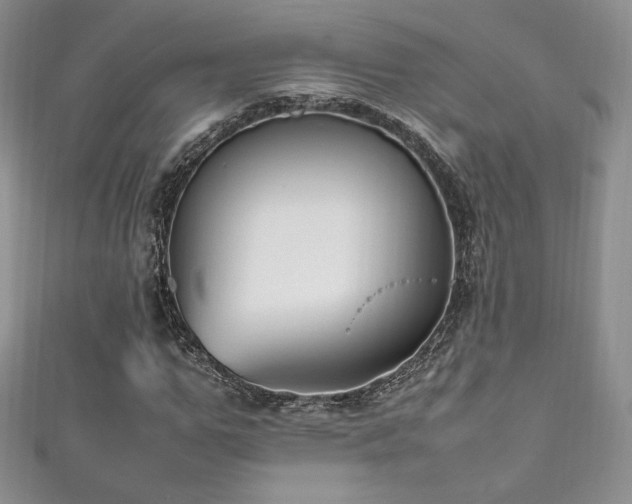 X0000111850967200907231425