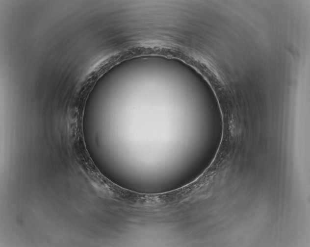 X0000111850968200907231425
