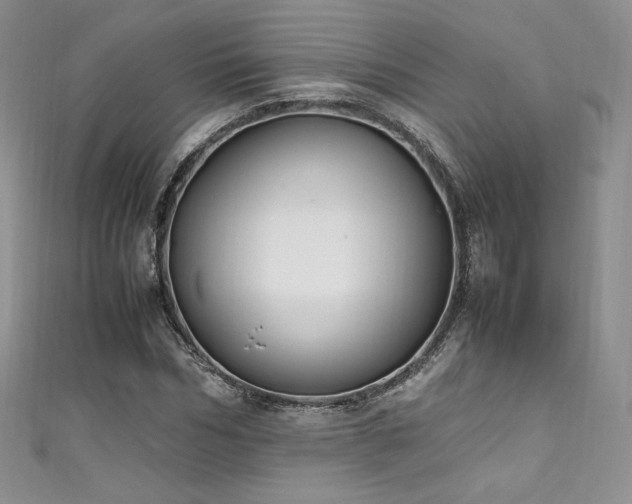 X0000111850970200907231425