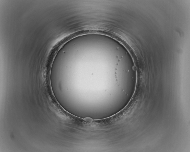 X0000111850971200907231425