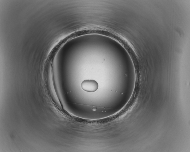 X0000111850973200907231425