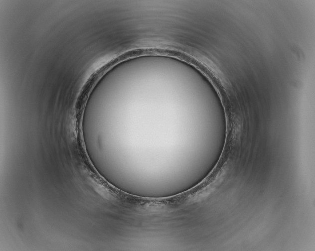 X0000111850974200907231425