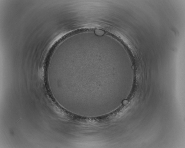 X0000111850975200907231425