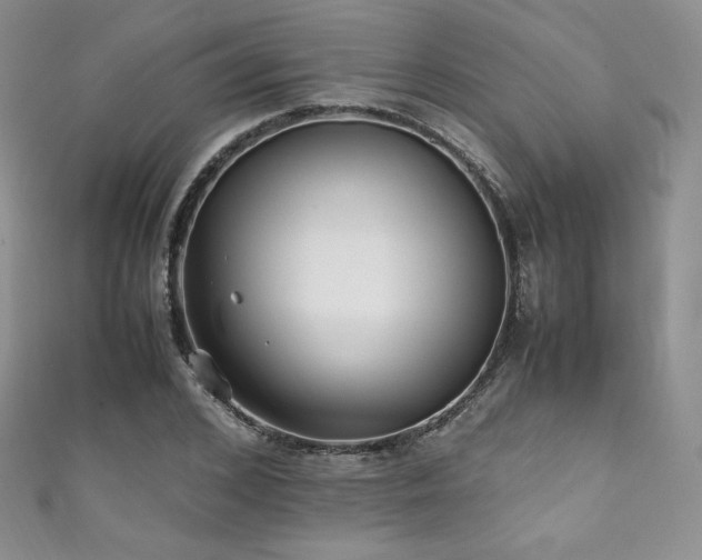 X0000111850976200907231425