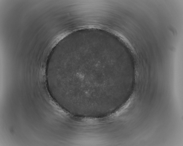 X0000111850977200907231425
