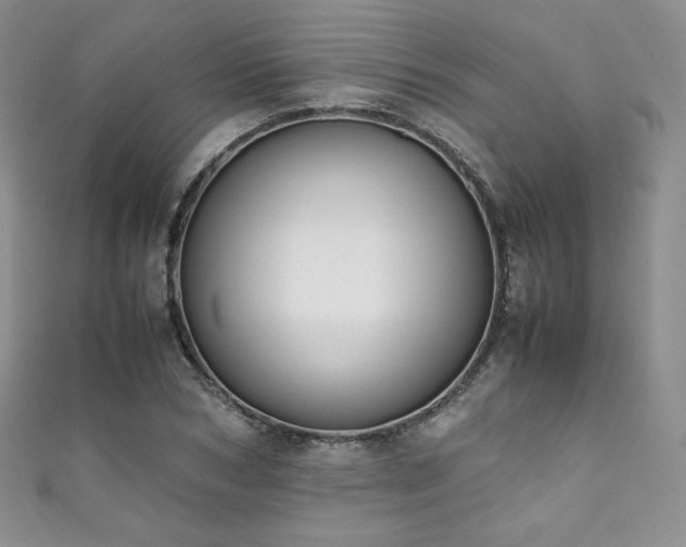 X0000111850978200907231425